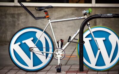 Articoli blog e SEO non solo indicizzazione