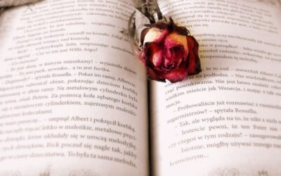 Come fare storytelling per le imprese
